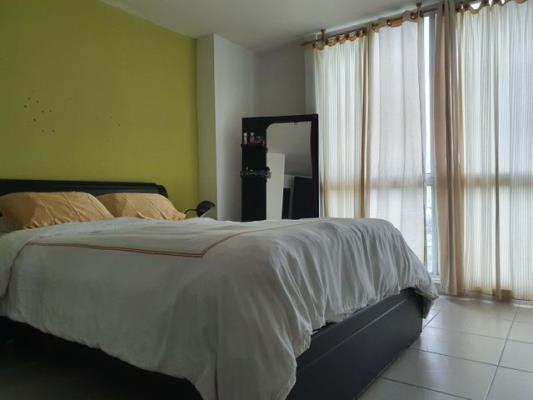 , Área Metropolitana