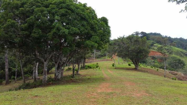 , Terreno en venta en 24 de diciembre | P3703672