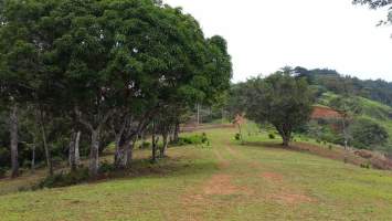 24 de diciembre Panamá