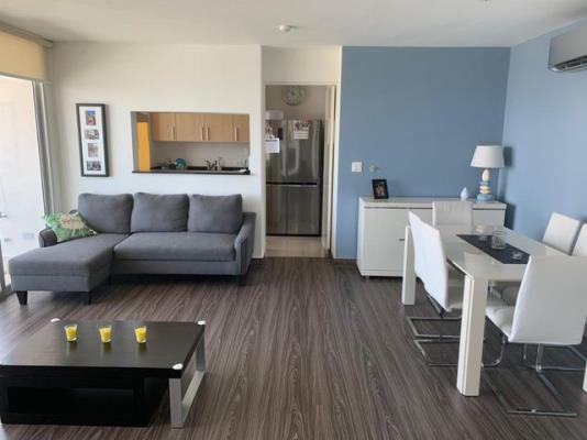 , Área Metropolitana