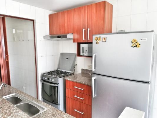 , Apartamento en alquiler en Parque Lefevre | P3709538