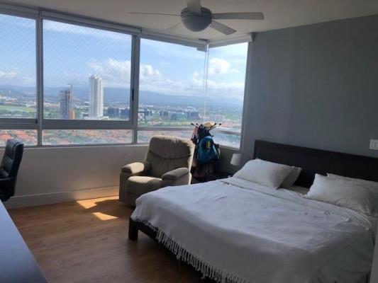 , Área Metropolitana