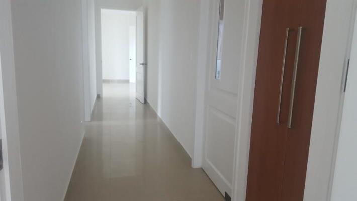 , Área Metropolitana