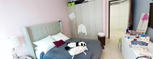 , Área Metropolitana