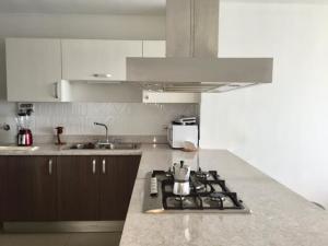 , Área Metropolitana