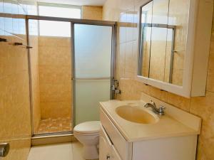 , Área Metropolitana