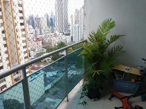 , Área Metropolitana