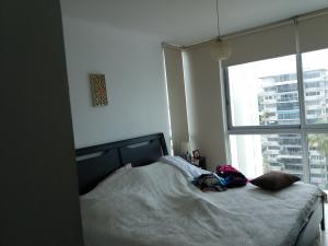 , apartamento