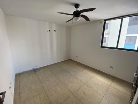 Terrazas del Rey , Apartamento en alquiler en Amelia Denis De Icaza | Terrazas del Rey  -  P3752322