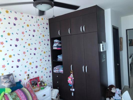 Waterfalls, Área Metropolitana