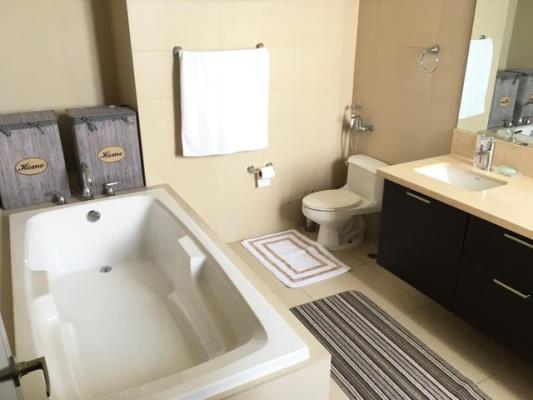 Dupont, Punta Pacifica