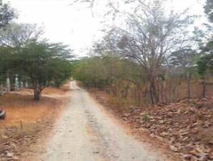 , Terreno en venta en Rio Hato | P3757012