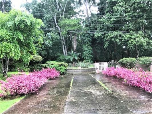 , Casa en alquiler en Alcalde Diaz | P3772615