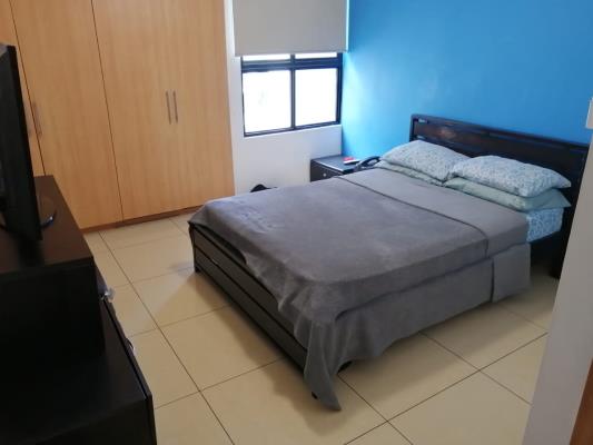 Terrazas del Rey , apartamento