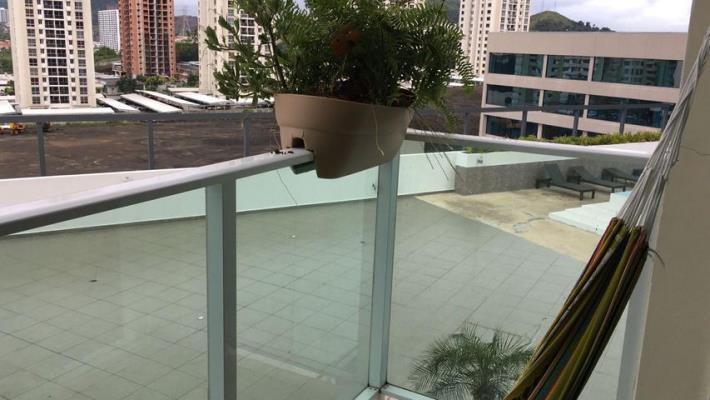 Kings Park , Área Metropolitana