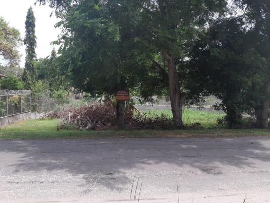 San Carlos San Carlos