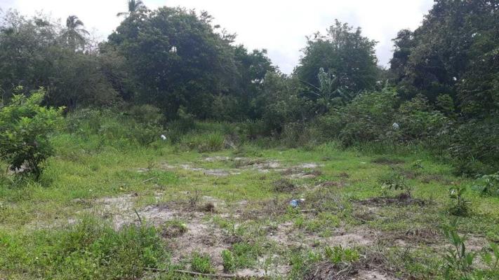 San Carlos San Carlos