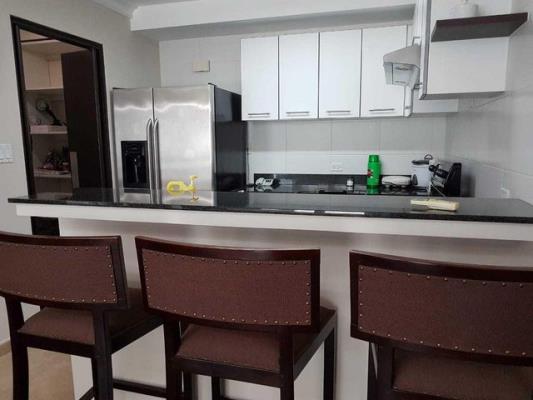 , Apartamento en alquiler en Avenida Balboa | P3783787