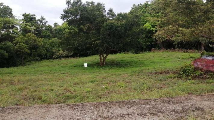 El espino San Carlos