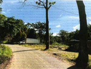 , Terreno en venta en Juan Diaz | P3788155