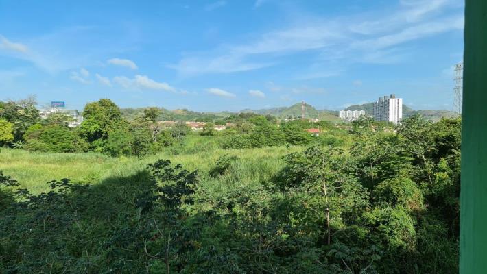 , Apartamento en venta en Betania | P3790325