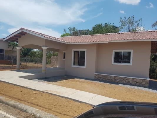 Coquito Hills, David