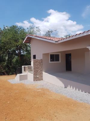 Coquito Hills, David