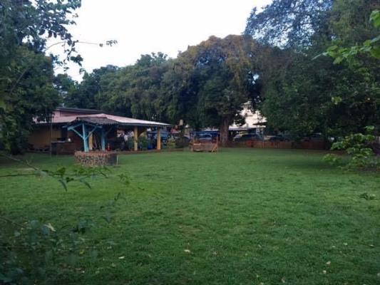 , Terreno en alquiler en Juan Diaz | P3796583