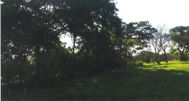 , Pedasi