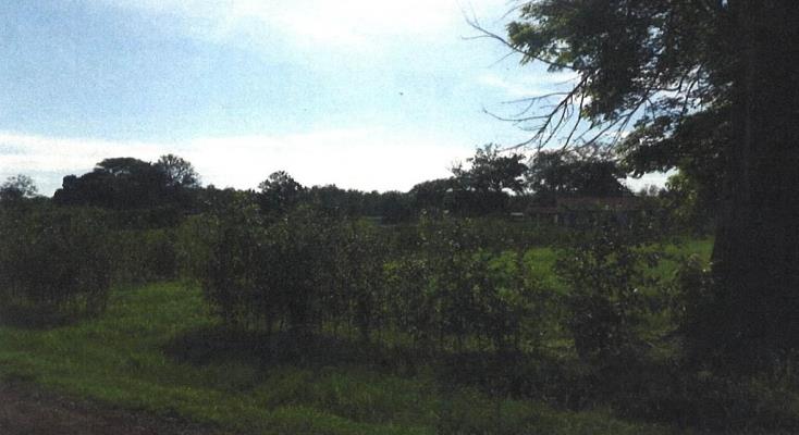 , Terreno en venta en Pedasí | P3799341