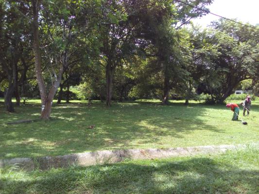 , Terreno en venta en Rio Hato | P3811948