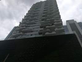ymal