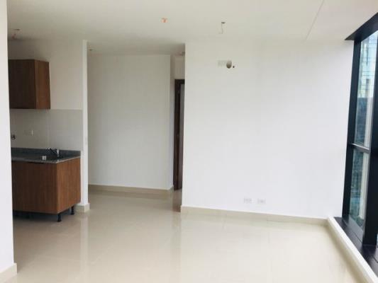 , Área Metropolitana