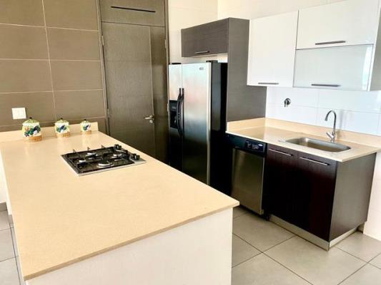 , Apartamento en alquiler en Avenida Balboa | P3825829