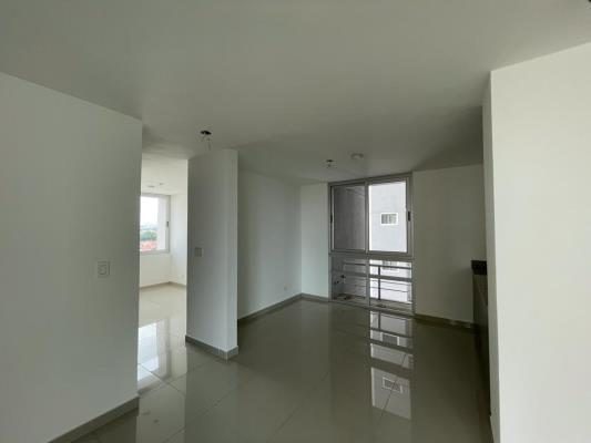 , Área Metropolitana