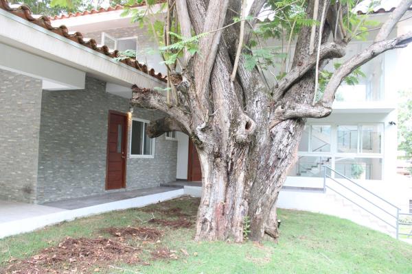 , Apartamento en alquiler en Ancón | P3836084