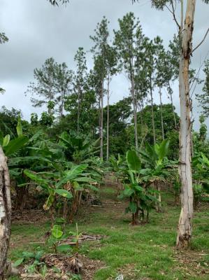 , Terreno en venta en Los Pozos | P3841859