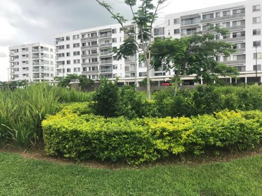 PH MIDRISE WOODLANDS, Apartamento en alquiler en Veracruz | PH MIDRISE WOODLANDS -  P3845310