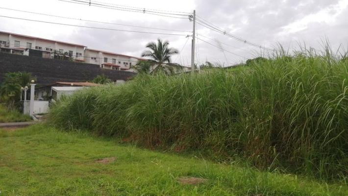 , terreno