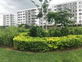 Panamá Pacífico Arraiján