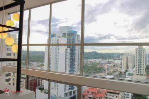 , Área Metropolitana