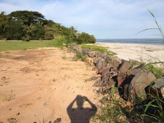 , Terreno en venta en San Carlos | P3875711