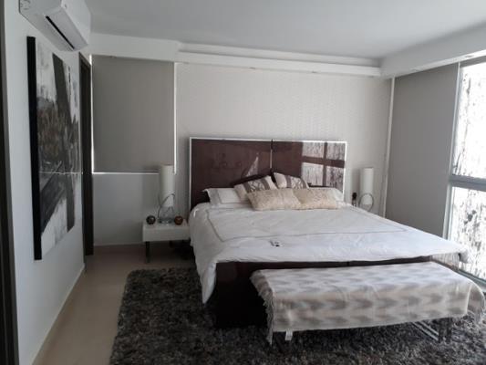 , Área Metropolitana