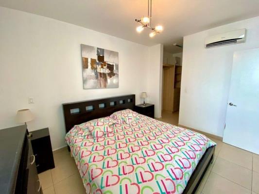 , Área Metropolitana