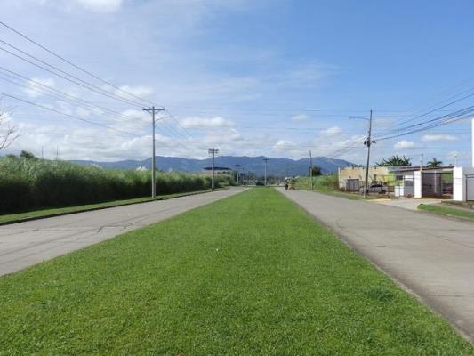 , Terreno en alquiler en Pacora | P3908212