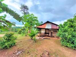 Las Mañanitas Panamá