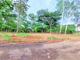 Las Mañanitas Panamá