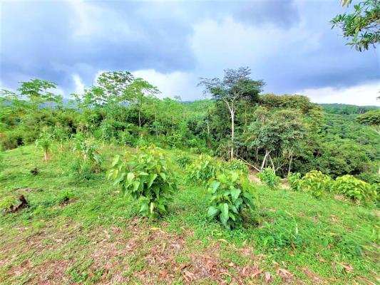 , Terreno en venta en Las Mañanitas | P3917165