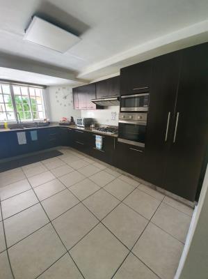 Condado del Rey, casa