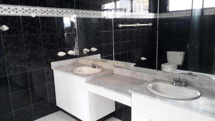 Coral Reef, Avenida Balboa